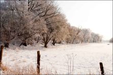 winterlandschaft bei schwerin.jpg